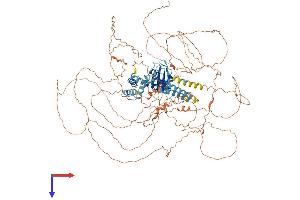 RNA Binding Motif Protein 44 (RBM44) (AA 1-1051) protein (His tag)