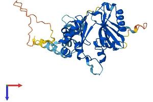 CDC123 Protein (AA 1-336) (His tag)