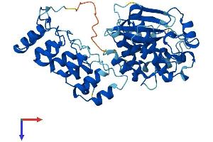 ILK Protein (AA 1-452) (His tag)