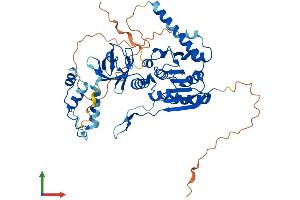 Protein Structure (PS) image for tRNA Methyltransferase 6 Homolog (TRMT6) (AA 1-497) protein (His tag) (ABIN7544688)