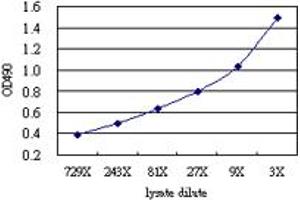 Sandwich ELISA detection sensitivity ranging from approximately 729x to 3x dilution of the ACO1 293T overexpression lysate (non-denatured).
