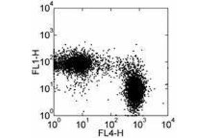 Image no. 1 for anti-Sialophorin (SPN) antibody (FITC) (ABIN473770) (CD43 Antikörper  (FITC))