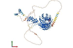 Protein Structure (PS) image for F-Box and WD Repeat Domain Containing 7 (FBXW7) (AA 1-707) protein (His tag) (ABIN7553894)