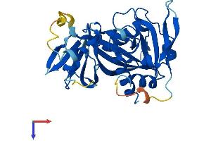 NUDT17 Protein (AA 1-296) (His tag)
