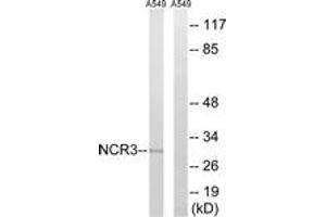 Western Blotting (WB) image for anti-Natural Cytotoxicity Triggering Receptor 3 (NCR3) (AA 104-153) antibody (ABIN2890449) (NCR3 Antikörper  (AA 104-153))