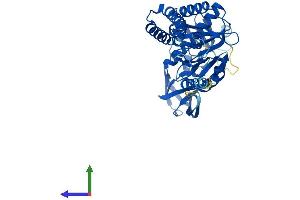 Protein Structure (PS) image for Alanyl-tRNA Synthetase Domain Containing 1 (AARSD1) (AA 1-412) protein (His tag) (ABIN7557060)
