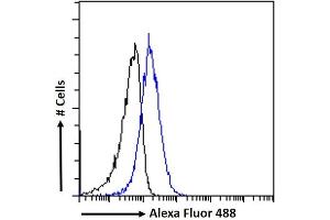 (ABIN184635) Flow cytometric analysis of paraformaldehyde fixed A549 cells (blue line), permeabilized with 0.