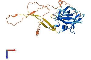 IL-33 Protein (AA 1-270) (His tag)