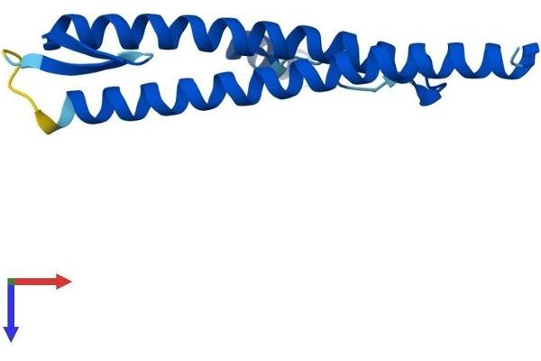 PDRG1 Protein (AA 1-133) (His tag)