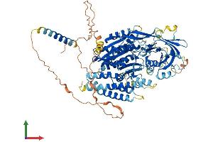 Protein Structure (PS) image for N-Acetylated alpha-Linked Acidic Dipeptidase-Like 2 (NAALADL2) (AA 1-795) protein (His tag) (ABIN7554672)