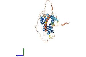 Protein Structure (PS) image for Dopamine Receptor D5 (DRD5) (AA 1-477) protein (His tag) (ABIN7547260)