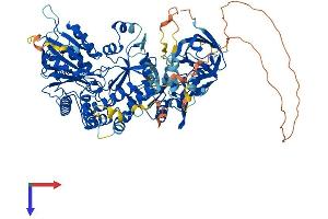 MOCOS Protein (AA 1-862) (His tag)