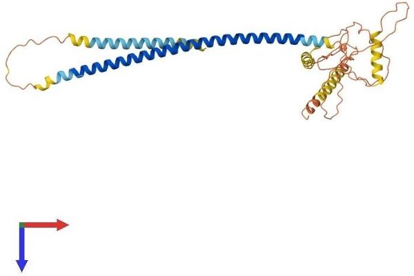 CCDC54 Protein (AA 1-329) (His tag)
