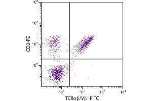 Chicken peripheral blood lymphocytes were stained with Mouse Anti-Chicken TCRαβ/Vβ1-FITC. (TCRab/Vb1 Antikörper)