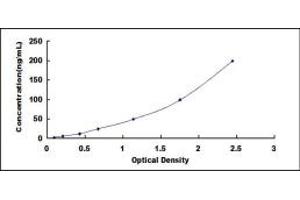 Typical standard curve (NAMPT ELISA Kit)