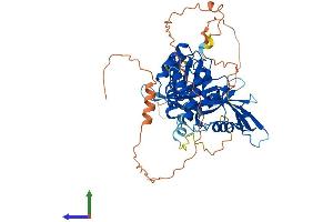 AlphaFold protein structure predicition of Mouse Recombinant Epb41l4b Protein, UniprotID Q9JMC8