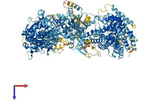 ADCY10 Protein (AA 1-1610) (His tag)