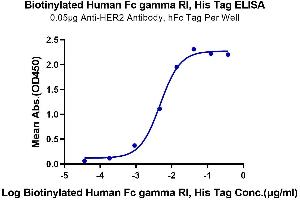 ELISA image for Fc Receptor, IgG, High Affinity I (FCGR1) (AA 16-288) protein (His-Avi Tag,Biotin) (ABIN7274673)
