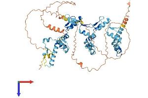 ZNF614 Protein (AA 1-585) (His tag)
