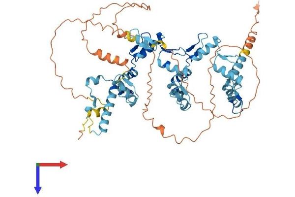 ZNF614 Protein (AA 1-585) (His tag)