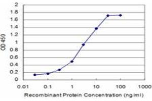Detection limit for recombinant GST tagged CITED1 is approximately 0. (CITED1 Antikörper  (AA 94-193))