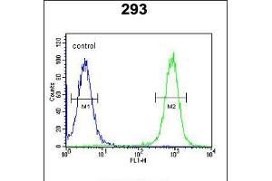 Flow cytometric analysis of 293 cells (right histogram) compared to a negative control cell (left histogram). (EPC2 Antikörper  (N-Term))