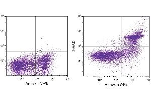 Day old BALB/c mouse splenocytes were stained with ApoScreen® Annexin V Apoptosis Kit-PE.