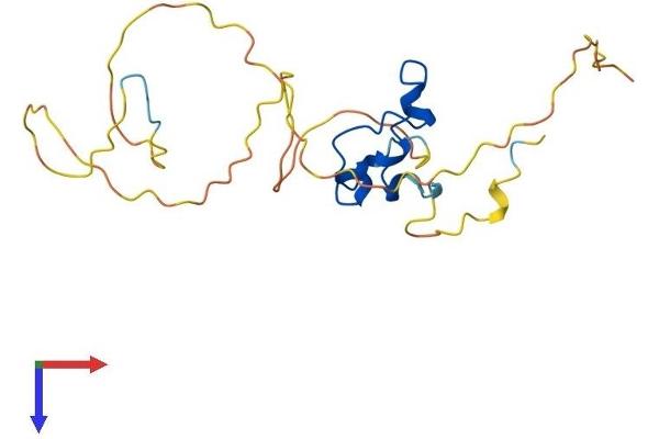 CXXC4 Protein (AA 1-198) (His tag)