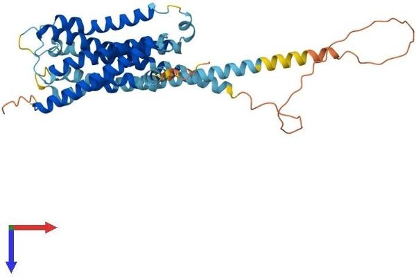 HRH4 Protein (AA 1-390) (His tag)