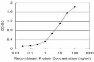 Detection limit for recombinant GST tagged TNF is approximately 0. (TNF alpha Antikörper  (AA 1-233))