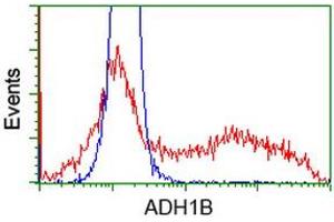 Flow Cytometry (FACS) image for anti-Alcohol Dehydrogenase 1B (Class I), beta Polypeptide (ADH1B) antibody (ABIN1496479) (ADH1B Antikörper)