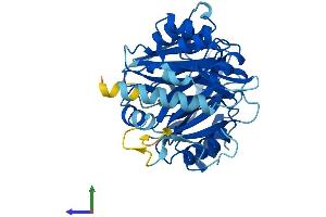 Protein Structure (PS) image for 4-Hydroxyphenylpyruvate Dioxygenase-Like (HPDL) (AA 1-371) protein (His tag) (ABIN7548390)