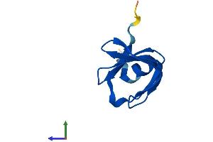 Protein Structure (PS) image for LSM6 Homolog, U6 Small Nuclear RNA Associated (LSM6) (AA 1-80) protein (Fc Tag) (ABIN7549240)