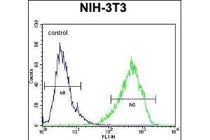 HOMEZ Antibody (N-term) (ABIN654727 and ABIN2844415) flow cytometric analysis of NIH-3T3 cells (right histogram) compared to a negative control cell (left histogram).