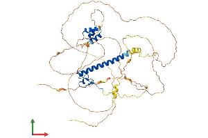 Protein Structure (PS) image for DMRT-Like Family A2 (DMRTA2) (AA 1-531) protein (His tag) (ABIN7561880)