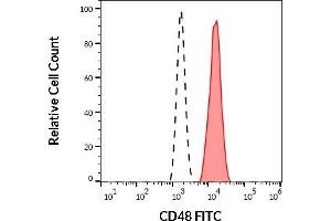 Separation of human CD48 positive lymphocytes (red-filled) from human CD48 negative neutrophil granulocytes (black-dashed) in flow cytometry analysis (surface staining) of human peripheral whole blood stained using anti-human CD48 (MEM-102) FITC (20 μL reagent / 100 μL of peripheral whole blood). (CD48 Antikörper  (FITC))