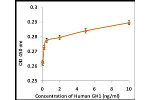 Activity Assay (AcA) image for Growth Hormone 1 (GH1) (Active) protein (ABIN5509312)