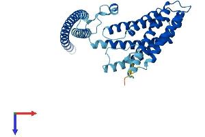 AlphaFold protein structure predicition of Human Recombinant TMEM120B Protein, UniprotID A0PK00