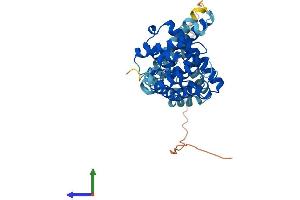 Protein Structure (PS) image for LETM1 Domain Containing 1 (LETMD1) (AA 1-360) protein (His tag) (ABIN7560257)
