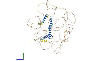 Protein Structure (PS) image for Transcription Factor 3 (E2A Immunoglobulin Enhancer Binding Factors E12/E47) (TCF3) (AA 1-651) protein (His tag) (ABIN7562893)