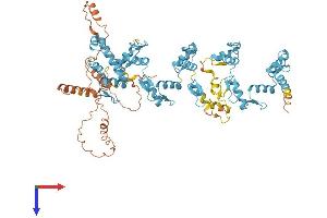 RBAK Protein (AA 1-714) (His tag)