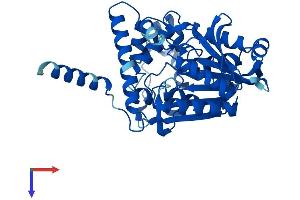 AADAC Protein (AA 1-399) (His tag)