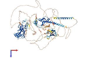 Chromosome 11open Reading Frame 9 (C11orf9) (AA 1-1138) protein (His tag)