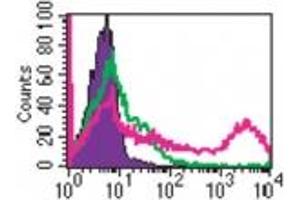 Image no. 1 for anti-Toll-Like Receptor 4 (TLR4) antibody (FITC) (ABIN956803) (TLR4 Antikörper  (FITC))