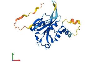 Protein Structure (PS) image for Josephin Domain Containing 1 (JOSD1) (AA 1-202) protein (His tag) (ABIN7548574)