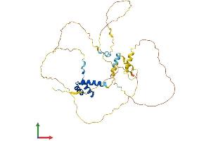 Protein Structure (PS) image for Visual System Homeobox 1 (VSX1) (AA 1-365) protein (His tag) (ABIN7545148)