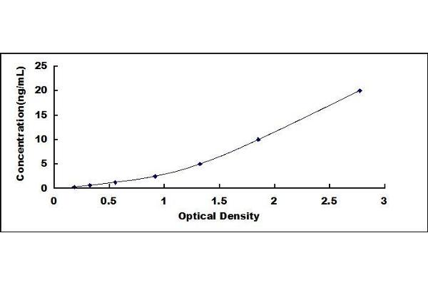 ESR2 ELISA Kit