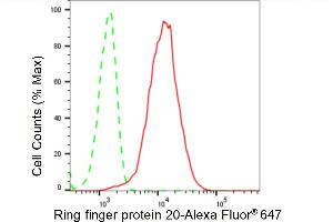 Flow cytometric analysis of Ring finger protein 20 expression in HeLa cells using Ring finger protein 20 antibody (ABIN7800246), 1:2,000). (Rekombinanter RNF20 Antikörper)