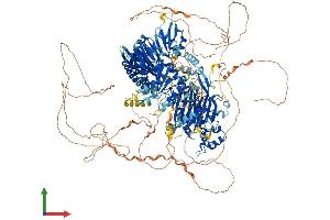 Protein Structure (PS) image for Synaptojanin 1 (SYNJ1) (AA 1-1573) protein (His tag) (ABIN7555700)