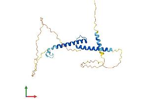 Protein Structure (PS) image for Myogenic Factor 6 (MYF6) (AA 1-242) protein (His tag) (ABIN7562886)